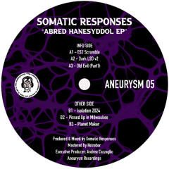 B2 - Somatic Responses - Pissed Up In Milwaukee