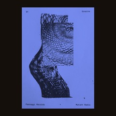 Paesaggi Records guest Gropina [Premiere] [09.12.25]