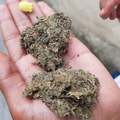 M0NTAG3M  - TOM4  $EQUÊNCI4 DJ TREM BALA