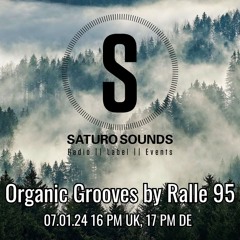 Organic Grooves by Ralle 95, 07.01.2025