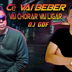 CÊ VAI BEBER VAI CHORAR VAI LIGAR (VERSÃO DJ IVIS)