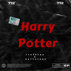Harry Potter feat. gattatone