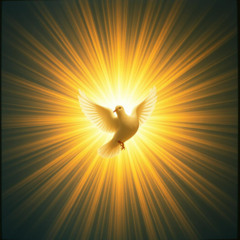 Tropical , House, Dance