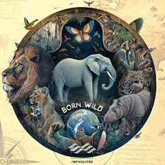 Born Wild - Demo - Global Audio Demo