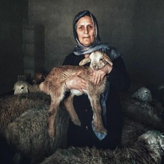 Ali Doğan Gönültaş / Nedendir