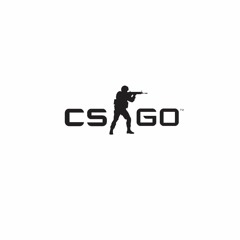 TERRORISTS WIN! (CS:GO REMIX)