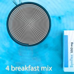 synflex for breakfast mix