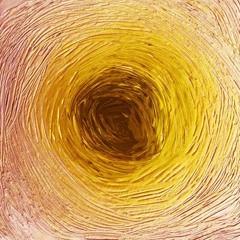 DSF - Kouloury  (Pippi Ciez Rmx)  -Snippet