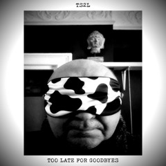 Too late for goodbyes (in the style of Julian Lennon)