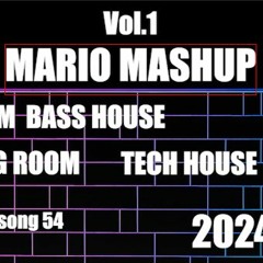 MARIO MASHUP 2024 Vol.1 Fn