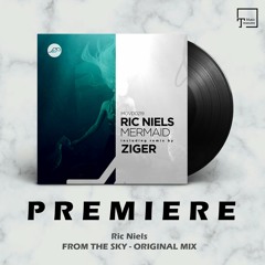 PREMIERE: Ric Niels - From The Sky (Original Mix) [MOVEMENT RECORDINGS]