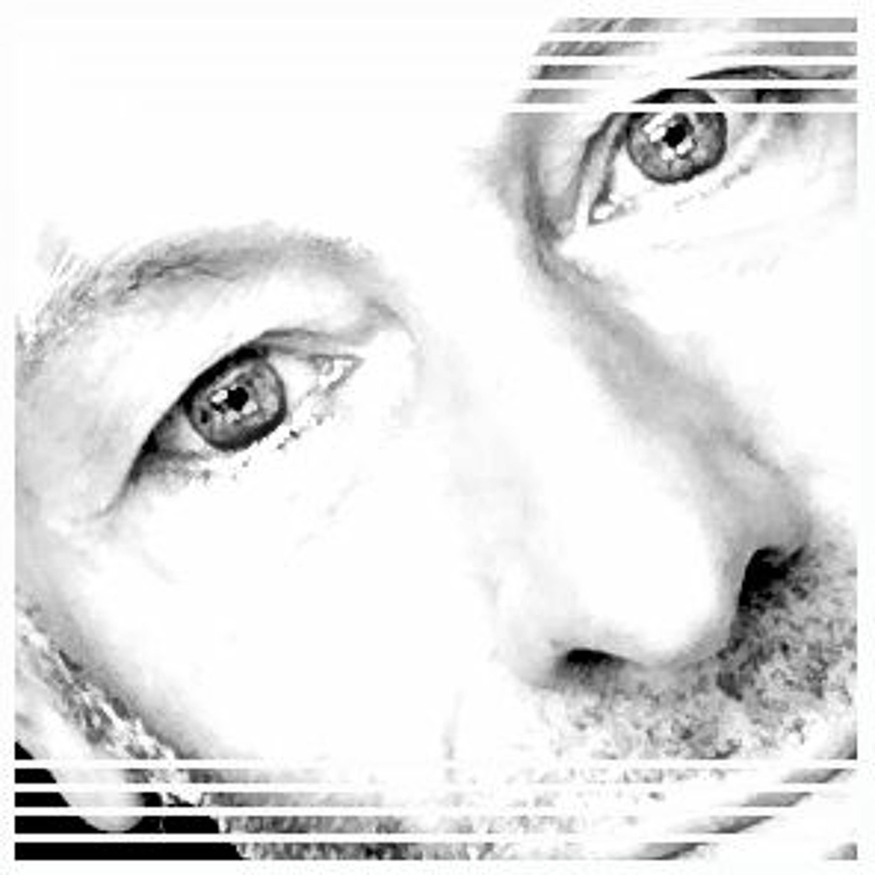 Steve Wilson  Music Preview  1