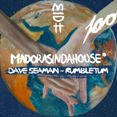 Dave Seaman - Rumbletum