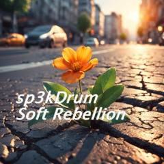Soft Rebellion (Original Mix)
