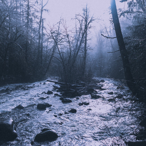 Reflections of Error