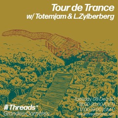 Tdt #8 - L.Zylberberg