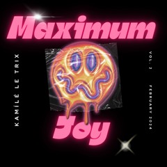 Maximum Joy Vol. 2