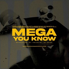 MEGA YOU KNOW - DJ FRACARI