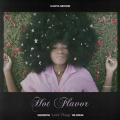 Hot Flavor (ggeebow 'Little Things' Re-Drum)