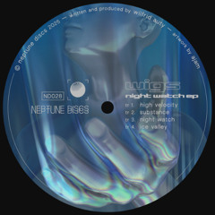 PREMIERE: Wigs - Night Watch [Neptune Discs]