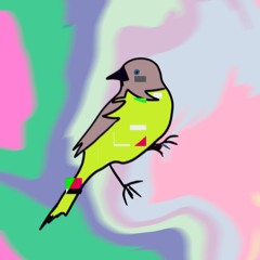 Ode to The Bird