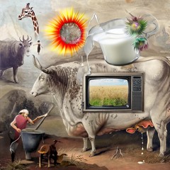 DANKJEWEL VOOR DE MELK