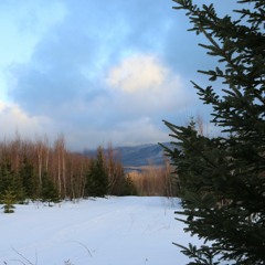 Change The World Or Leave It Alone? - Soryu Forall