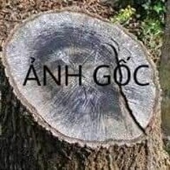 Để đây để nhớ cái đã @@