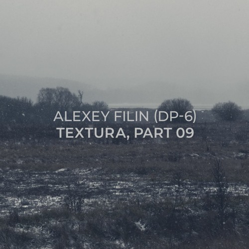 Alexey Filin (DP-6) - Textura, part 09