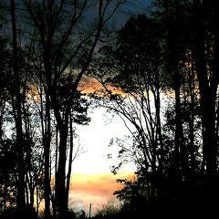 Time goes by- ABRAX 2022