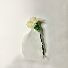 На фотографиях
