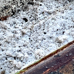 Offer Me a Plate of Your Greatest Fear and We Shall Dine Together