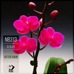 Dj Slav - After Rain (Original Mix)