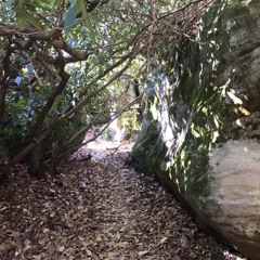 Side Quest