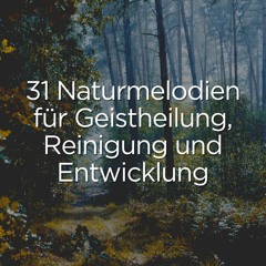 Schönheit In Der Natur, Pt. 1