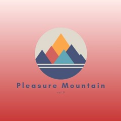 Pleasure Mountain vol. 9 (live rec. 10.02.2024)