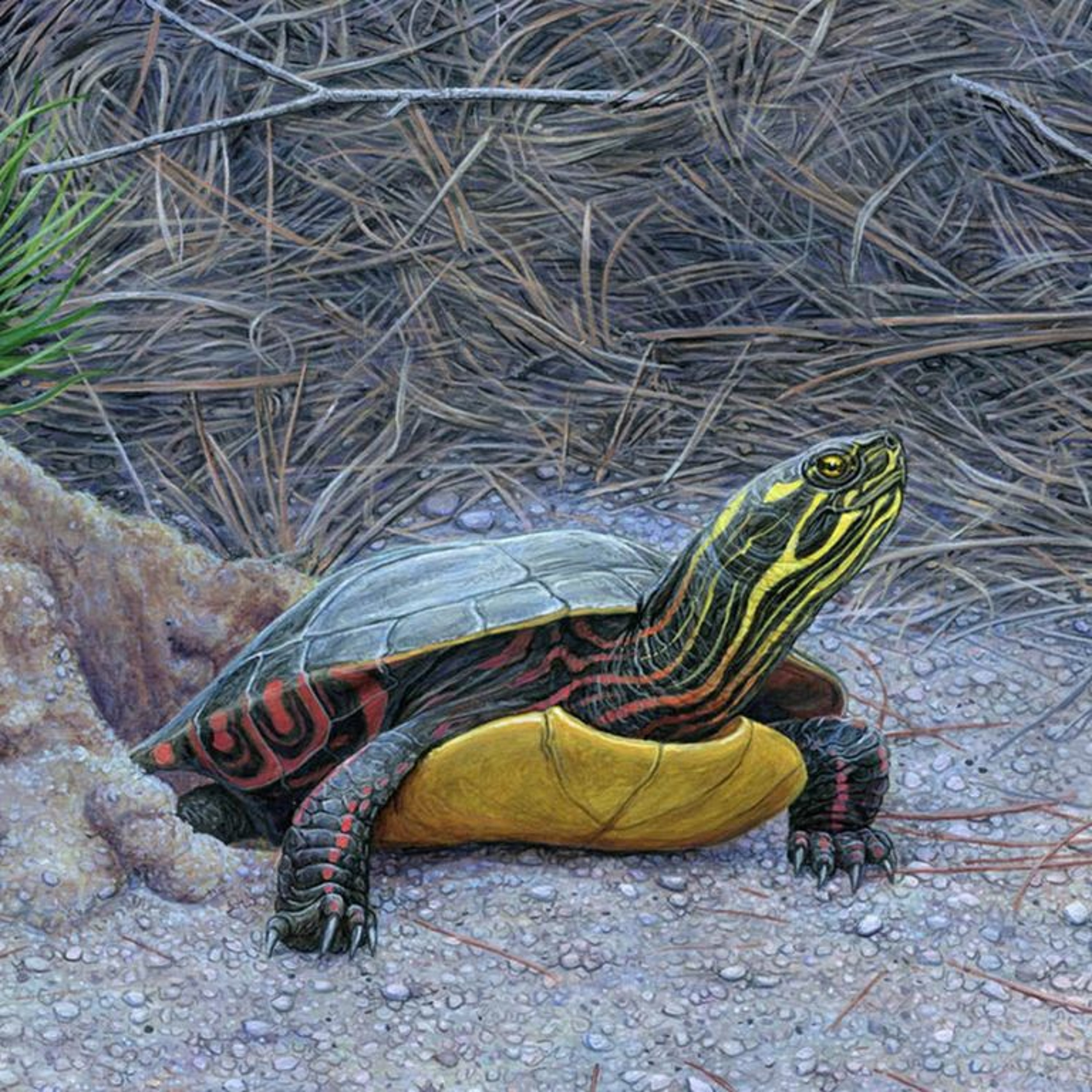 Ending the Fossil Fuel Era, Of Time and Turtles with Sy Montgomery, FDA Rules for Cosmetics & more. episode artwork