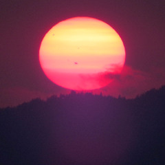 FORT MAC FIRE