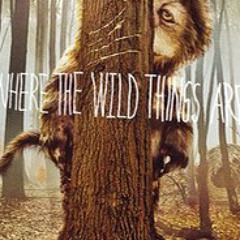 capsize karen o and the kids