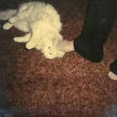 Scaredy Cat (Prod. DoctorHewitt)