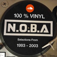 N.O.B.A - 100% Vinyl (Selections from 1993 to 2003)
