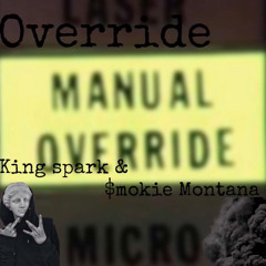 Override (ft. $mokie.)