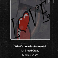 What’s Love Instrumental