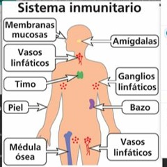 Podcast: Integración Del Sistema Inmunológico.