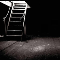 Raven In De Kelder #5