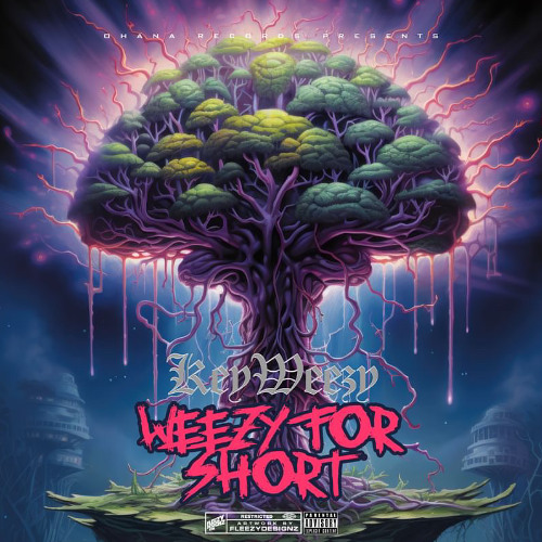 KeyWeezy - Back On Course