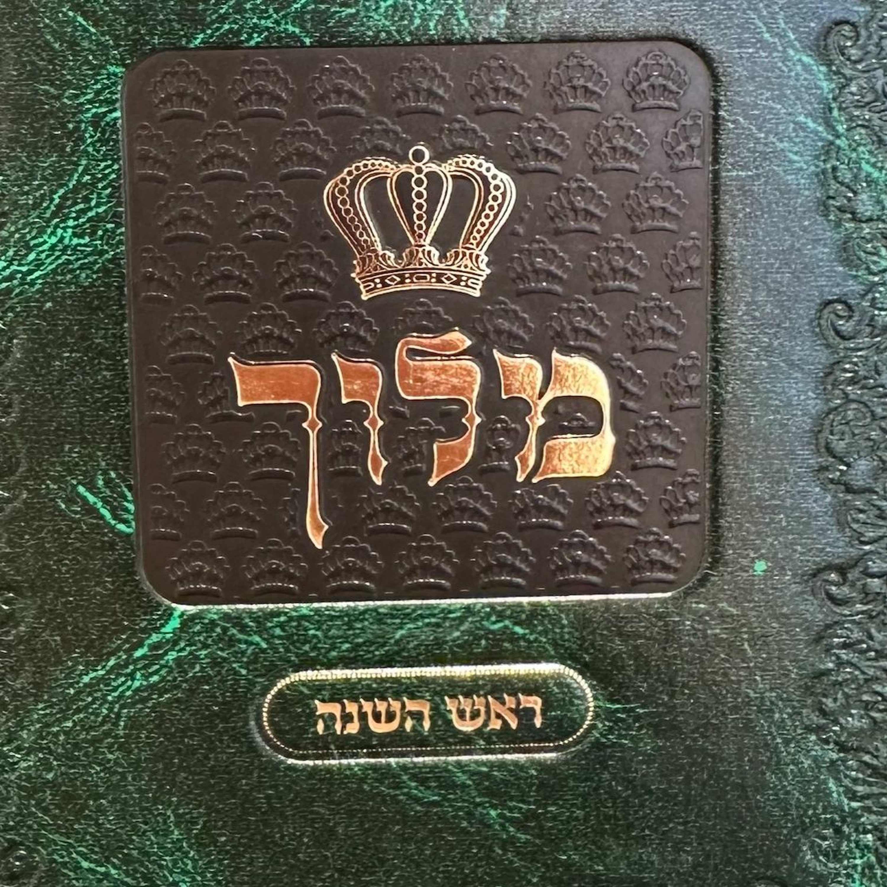 Rav Shlomo Katz