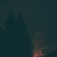 Burnt cicadas (naviarhaiku343)