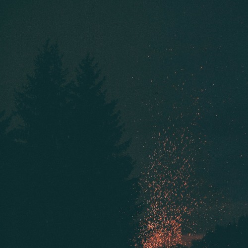 Burnt cicadas (naviarhaiku343)
