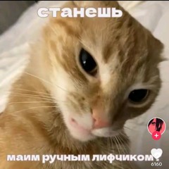 cupsize - горите в аду (snipet)